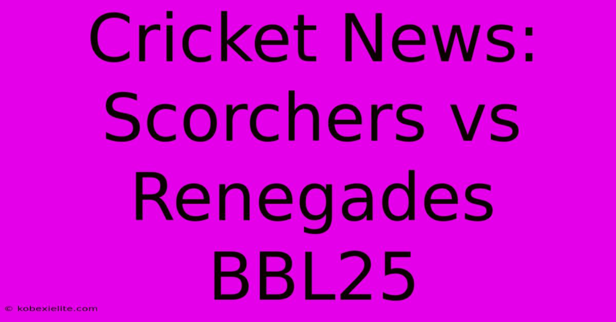 Cricket News: Scorchers Vs Renegades BBL25