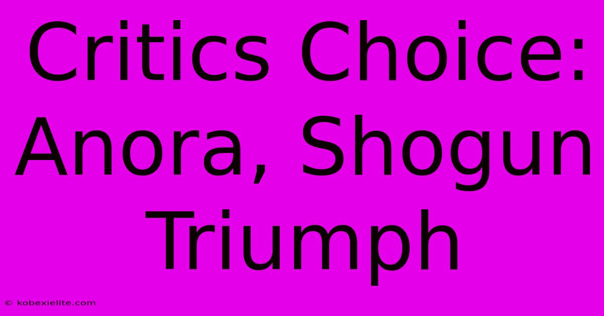 Critics Choice: Anora, Shogun Triumph