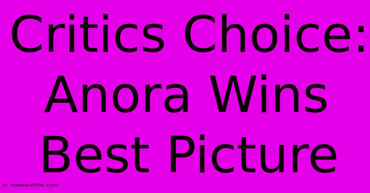 Critics Choice: Anora Wins Best Picture