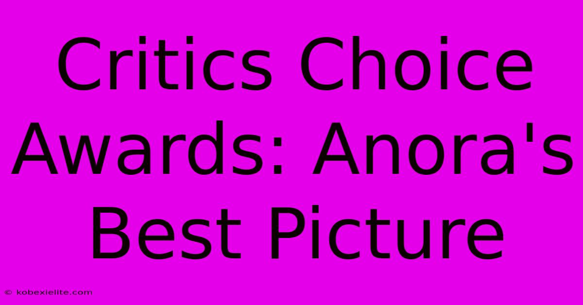 Critics Choice Awards: Anora's Best Picture