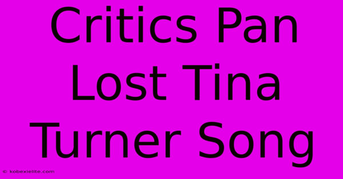 Critics Pan Lost Tina Turner Song