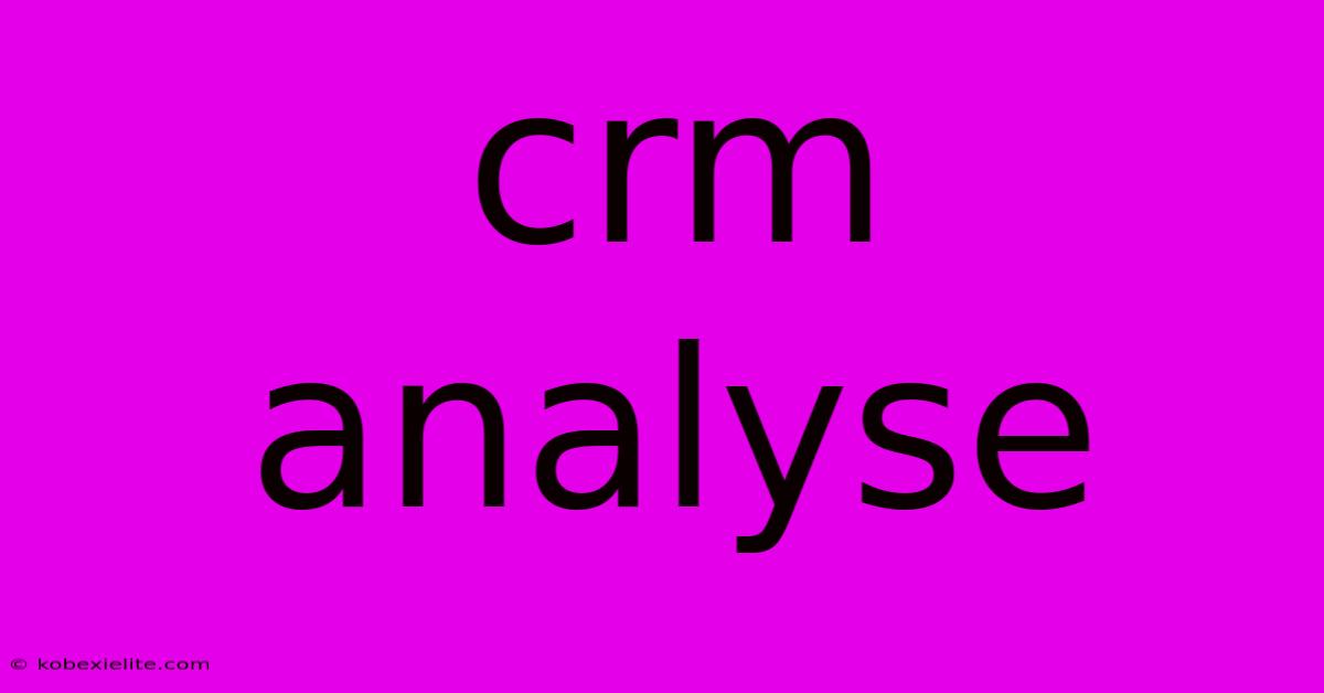 Crm Analyse