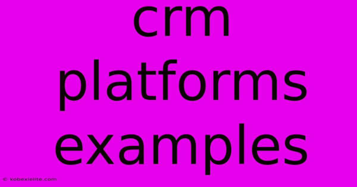 Crm Platforms Examples