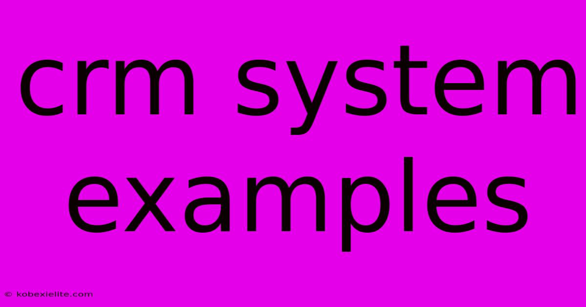 Crm System Examples