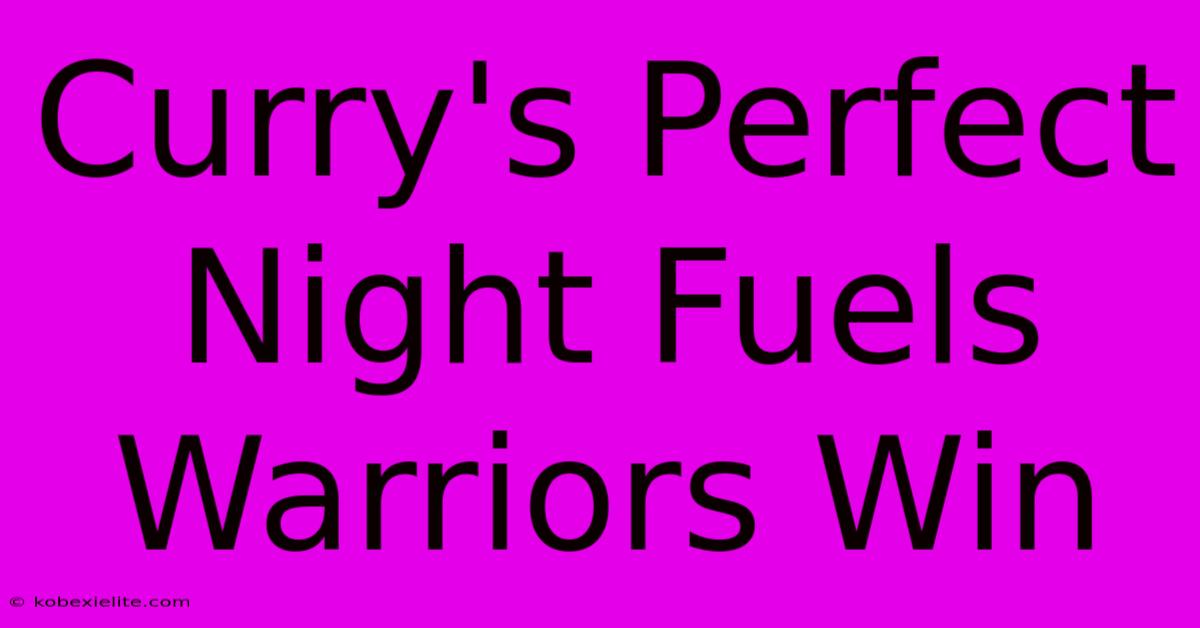 Curry's Perfect Night Fuels Warriors Win