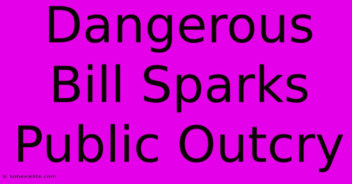 Dangerous Bill Sparks Public Outcry