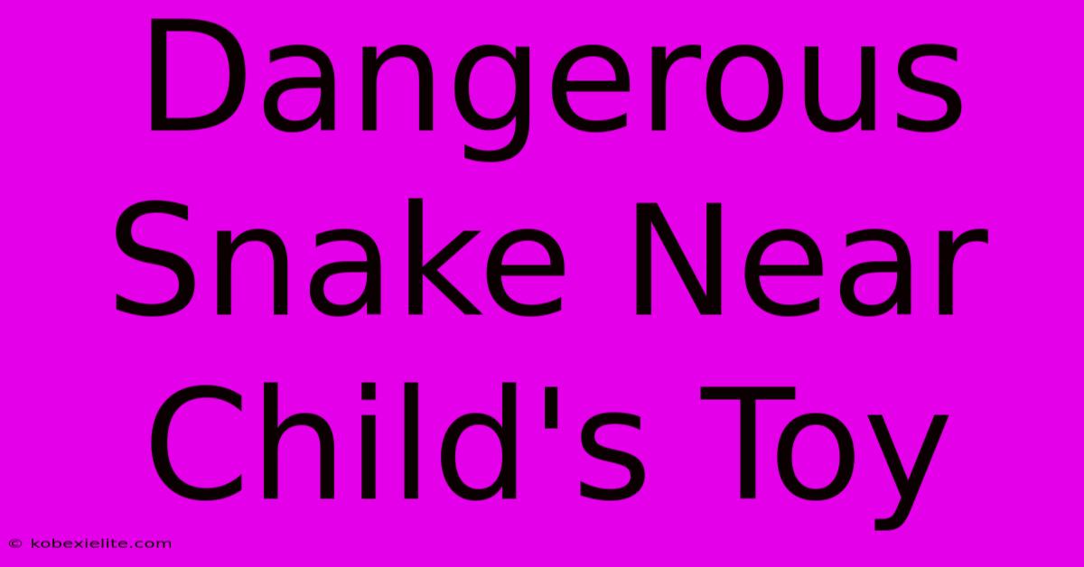 Dangerous Snake Near Child's Toy