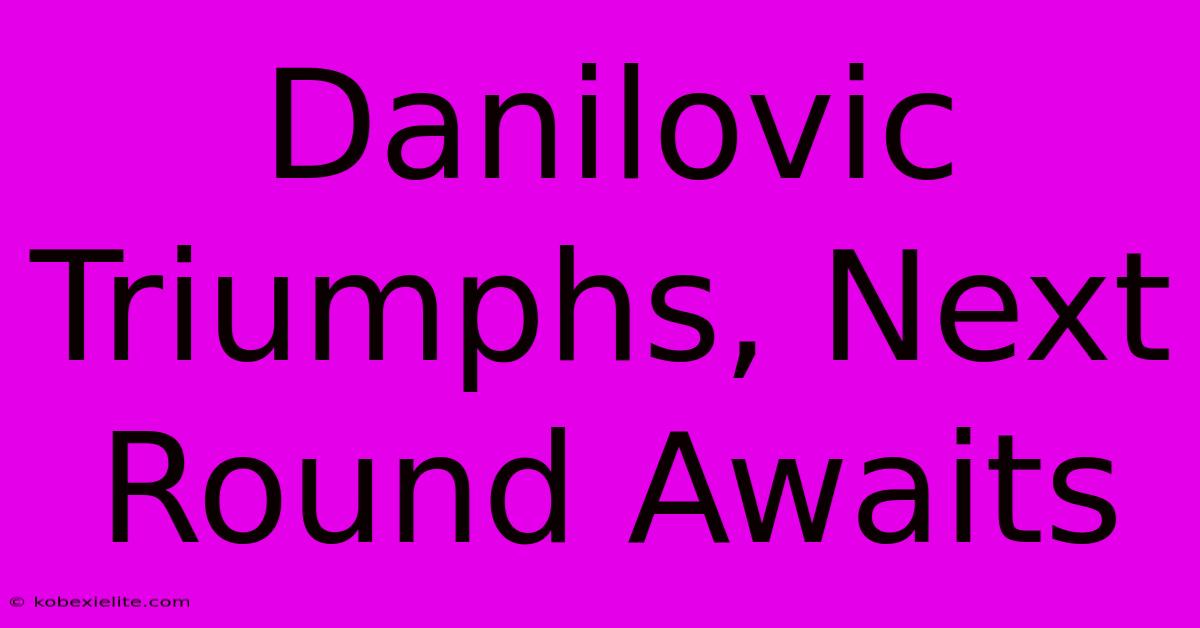 Danilovic Triumphs, Next Round Awaits