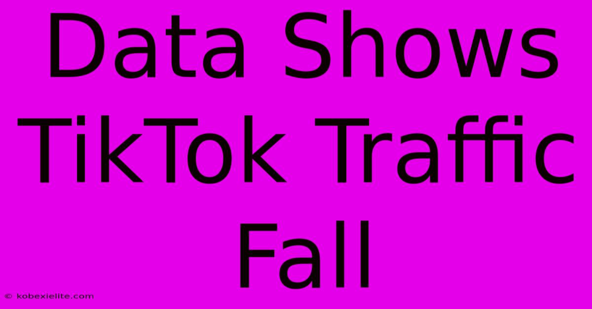 Data Shows TikTok Traffic Fall