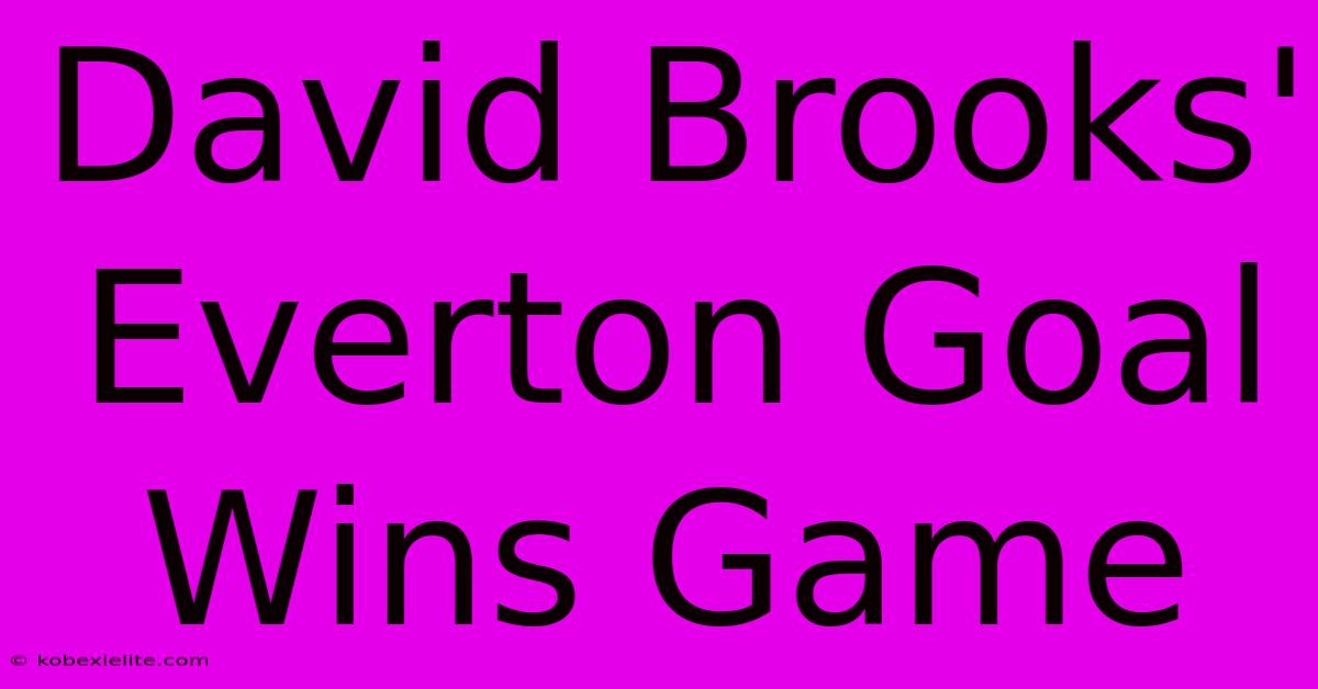 David Brooks' Everton Goal Wins Game