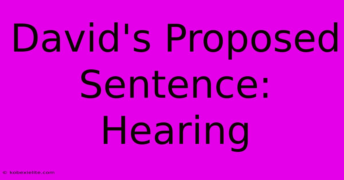 David's Proposed Sentence: Hearing