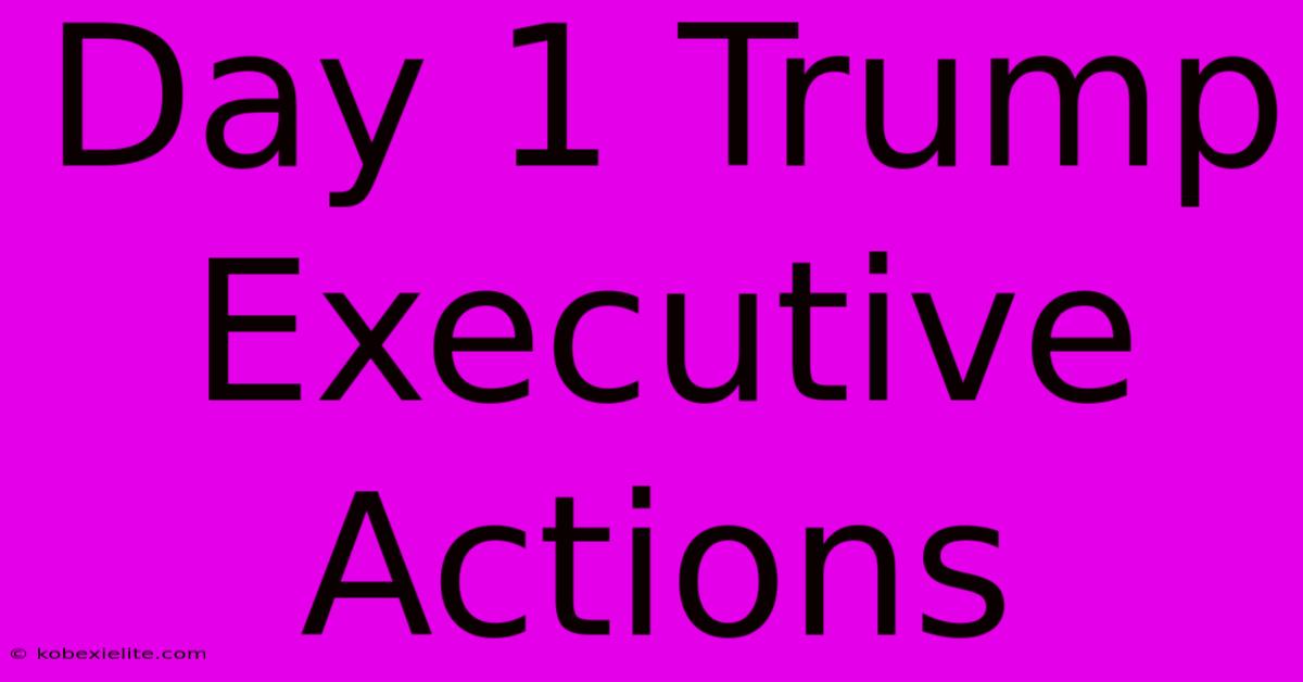 Day 1 Trump Executive Actions