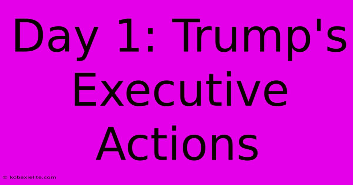 Day 1: Trump's Executive Actions