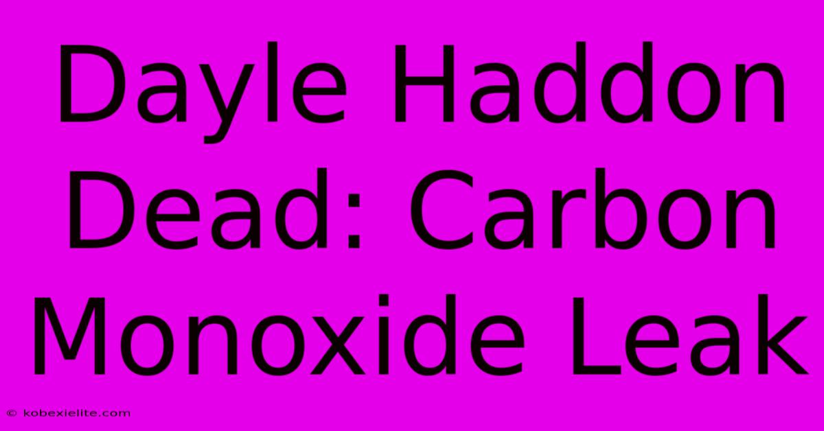 Dayle Haddon Dead: Carbon Monoxide Leak