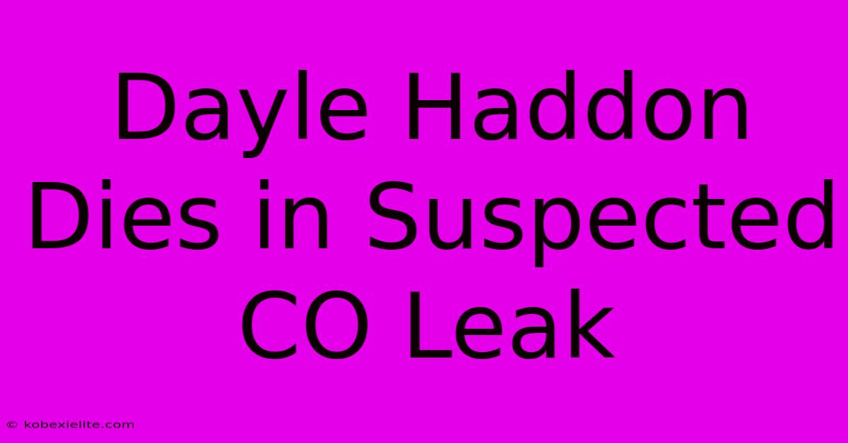 Dayle Haddon Dies In Suspected CO Leak