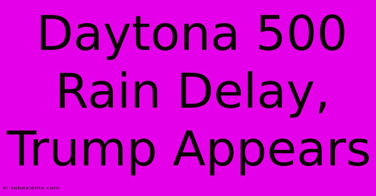 Daytona 500 Rain Delay, Trump Appears