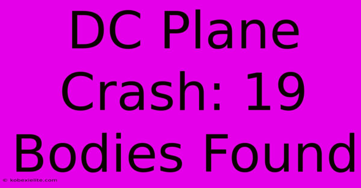 DC Plane Crash: 19 Bodies Found