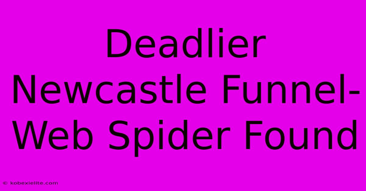 Deadlier Newcastle Funnel-Web Spider Found