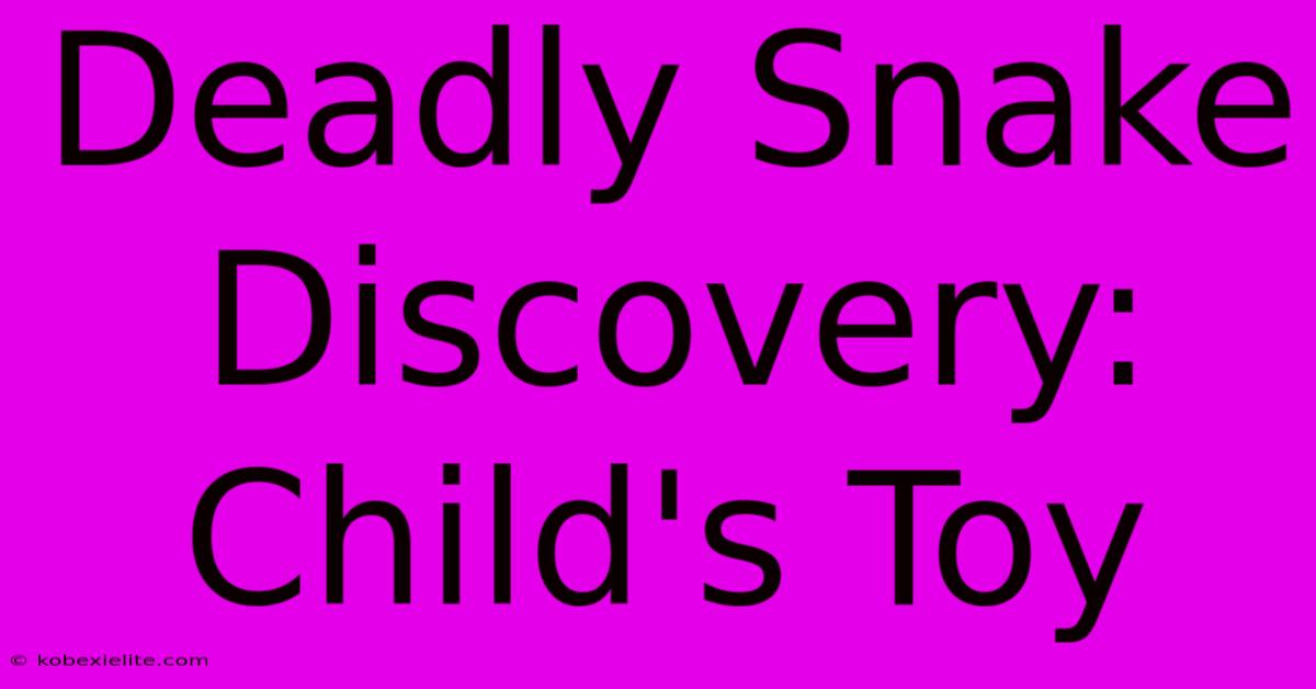 Deadly Snake Discovery: Child's Toy