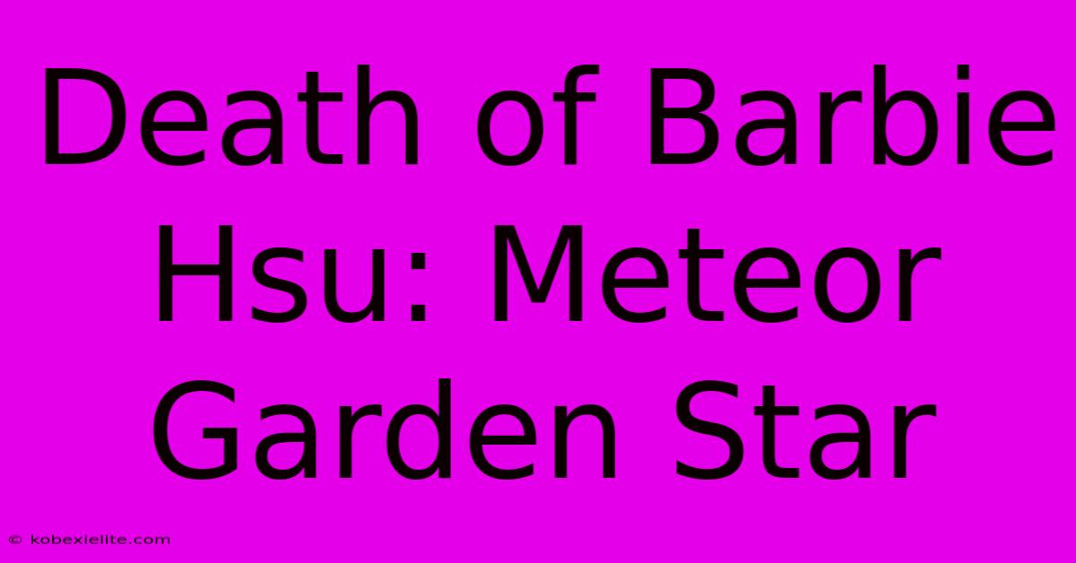 Death Of Barbie Hsu: Meteor Garden Star