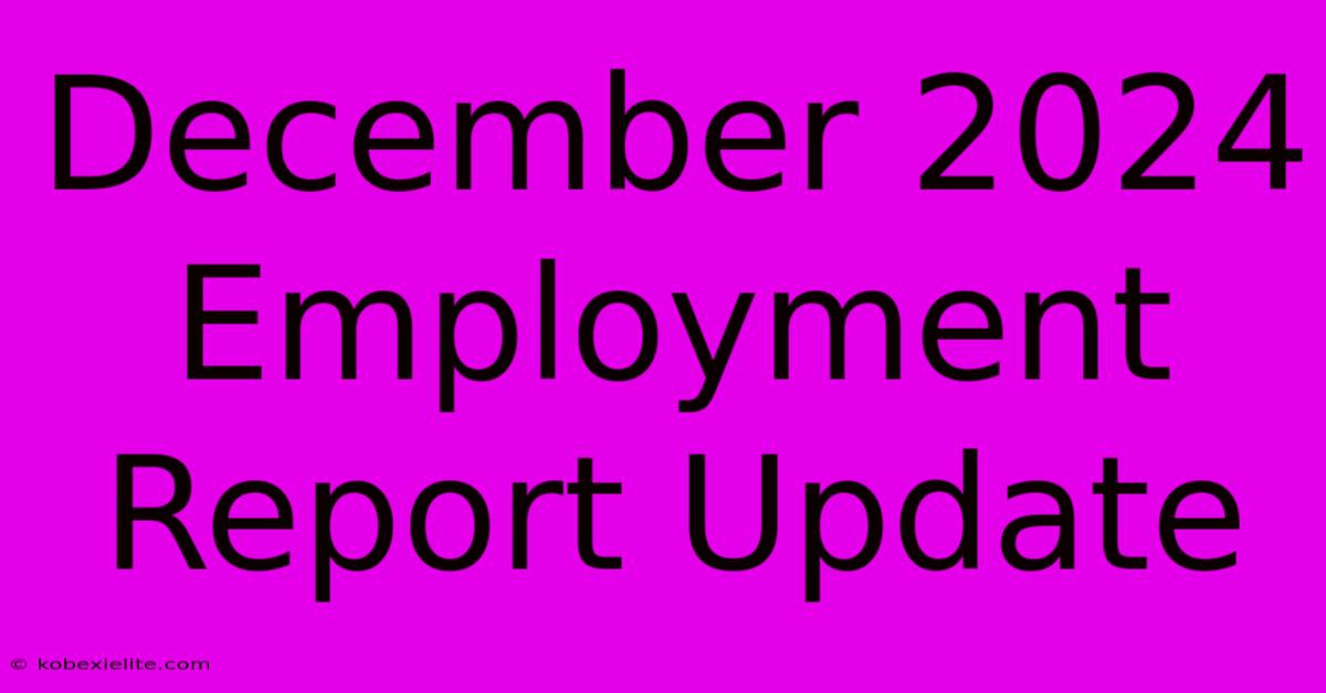 December 2024 Employment Report Update