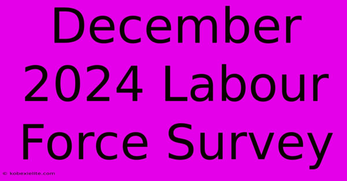 December 2024 Labour Force Survey