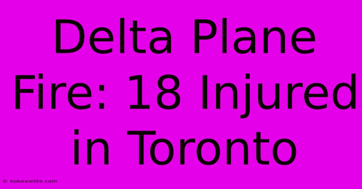 Delta Plane Fire: 18 Injured In Toronto