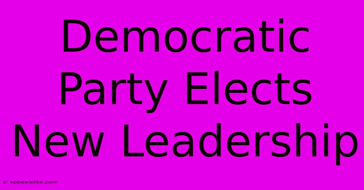 Democratic Party Elects New Leadership