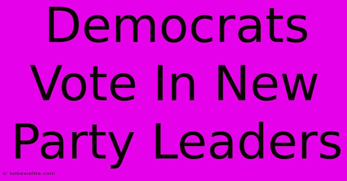 Democrats Vote In New Party Leaders