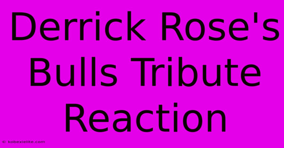 Derrick Rose's Bulls Tribute Reaction