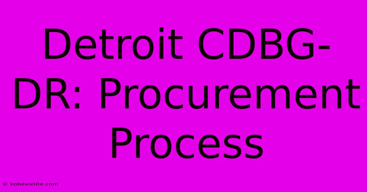 Detroit CDBG-DR: Procurement Process