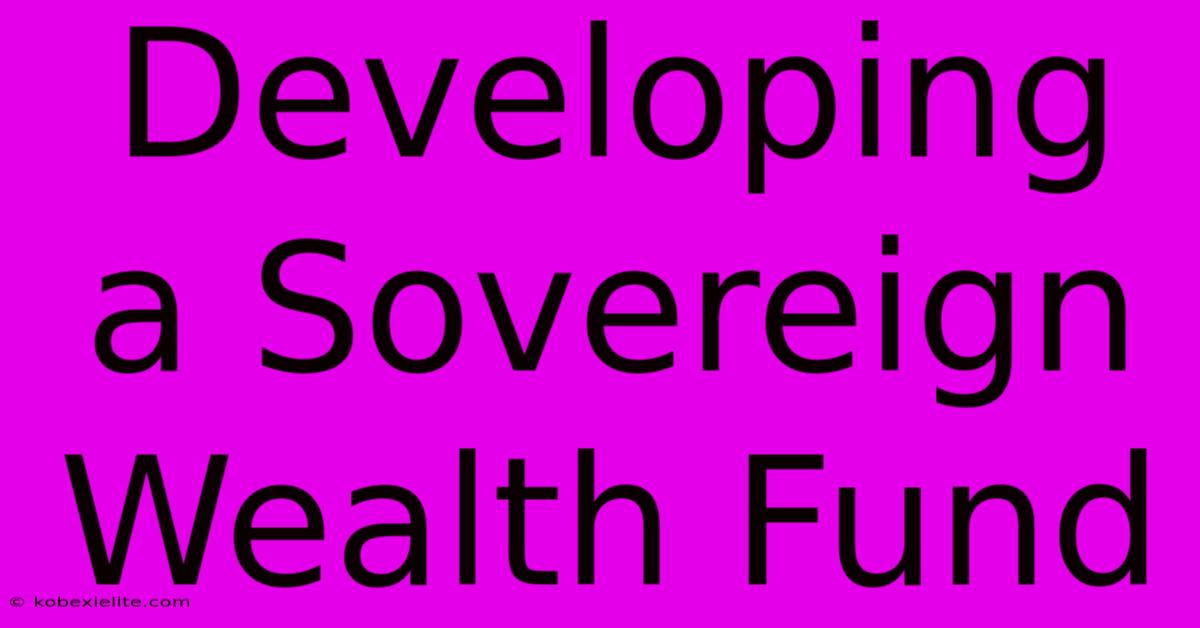 Developing A Sovereign Wealth Fund