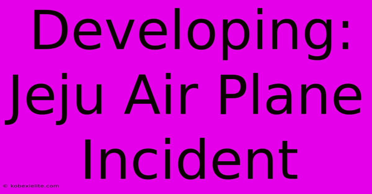 Developing: Jeju Air Plane Incident