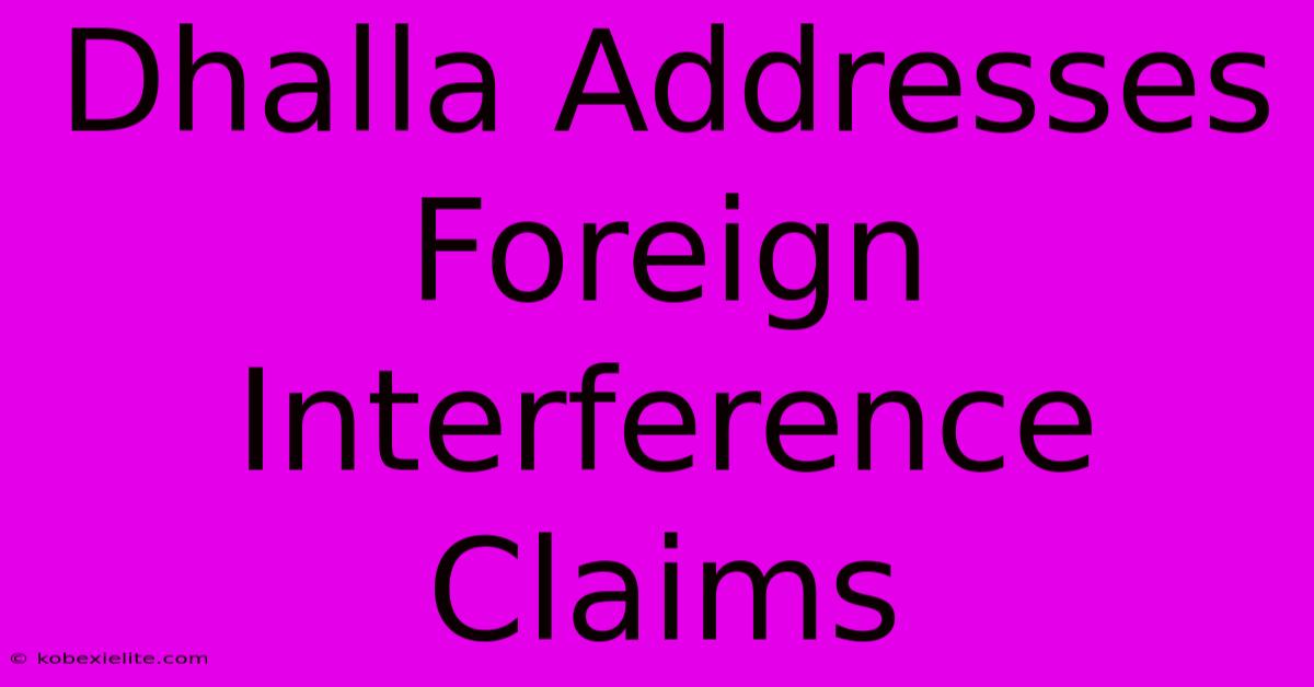 Dhalla Addresses Foreign Interference Claims