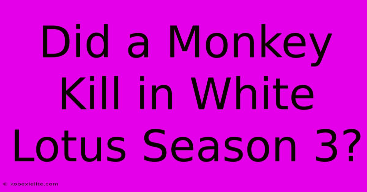 Did A Monkey Kill In White Lotus Season 3? Did A Monkey Kill In White Lotus Season 3?