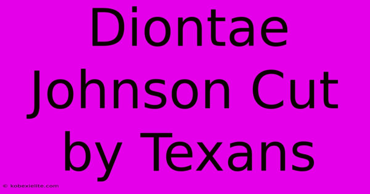 Diontae Johnson Cut By Texans