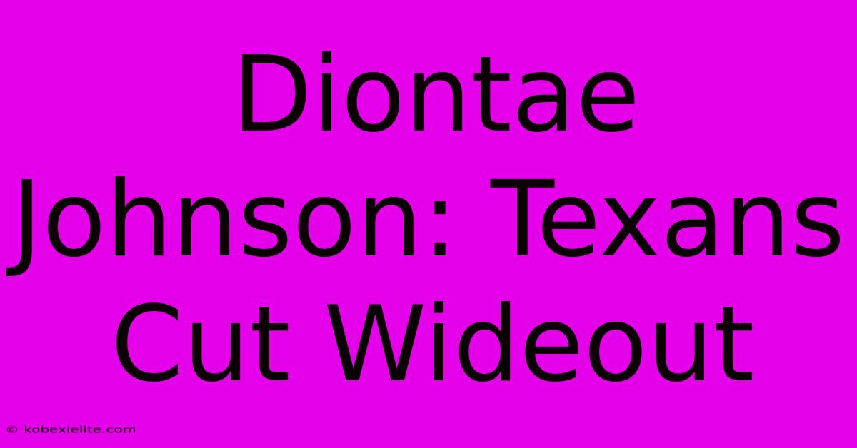 Diontae Johnson: Texans Cut Wideout