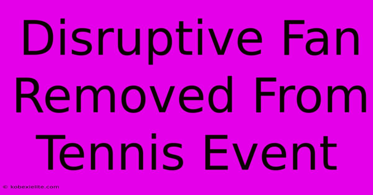 Disruptive Fan Removed From Tennis Event