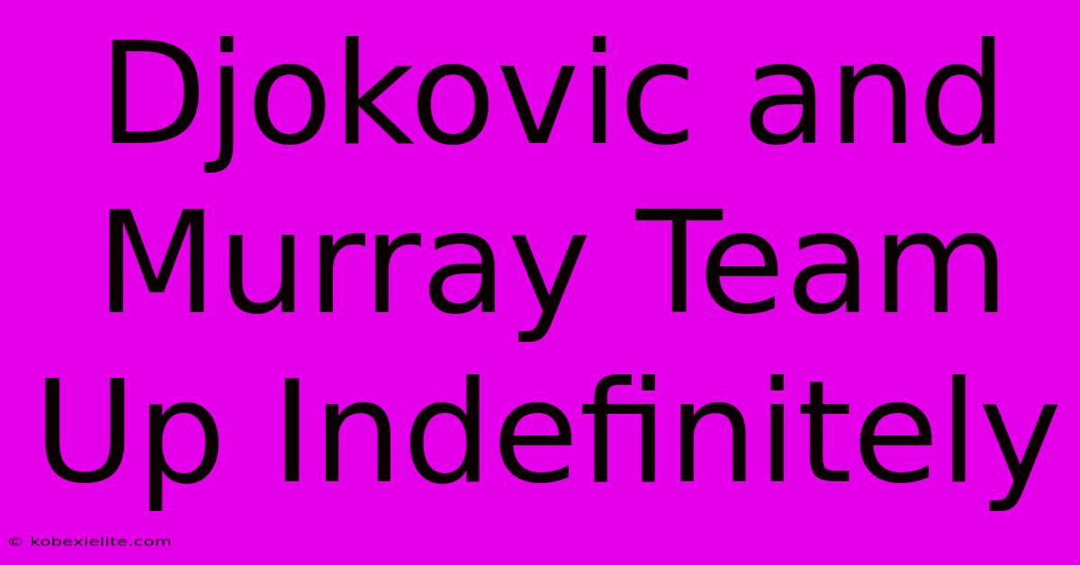 Djokovic And Murray Team Up Indefinitely