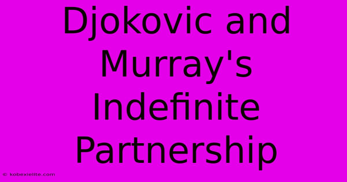 Djokovic And Murray's Indefinite Partnership