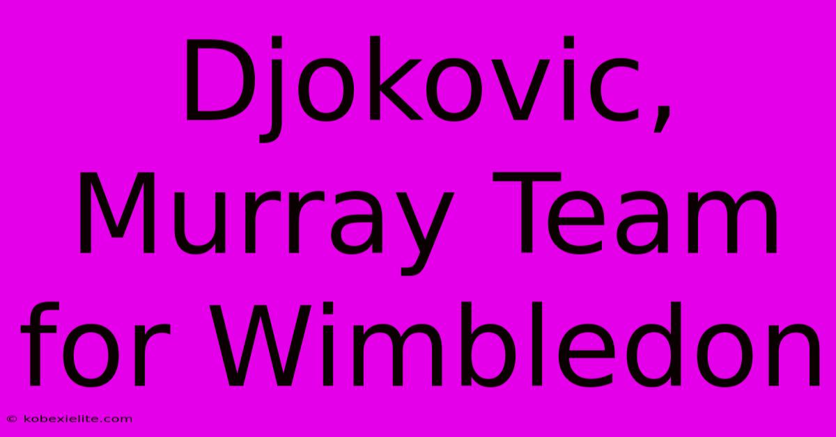 Djokovic, Murray Team For Wimbledon