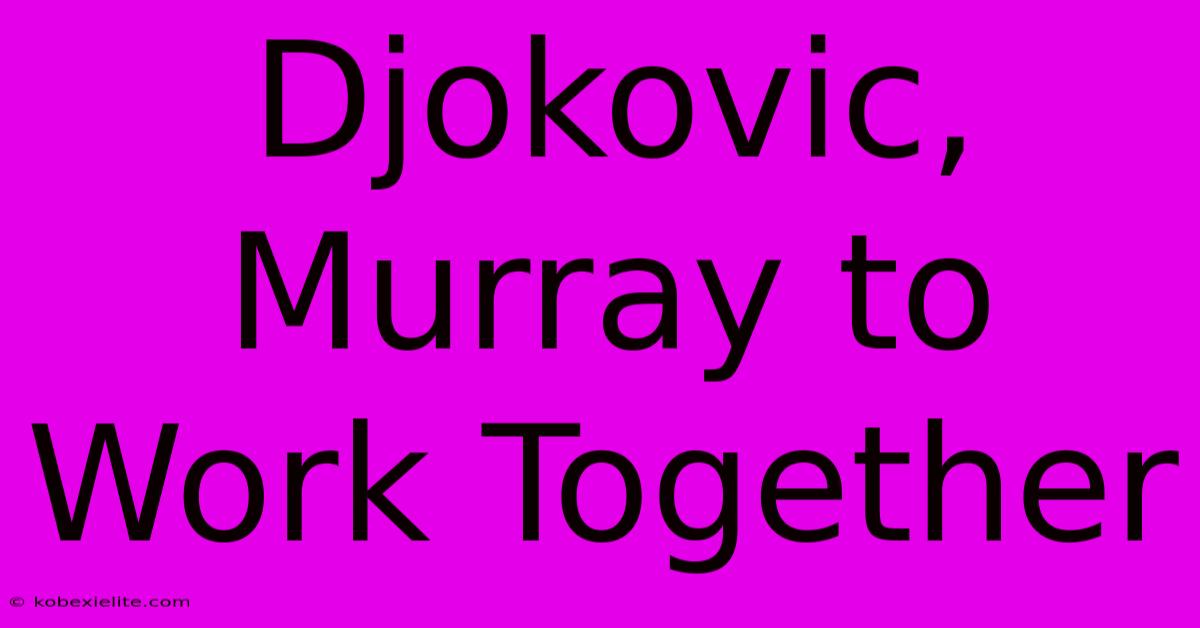 Djokovic, Murray To Work Together