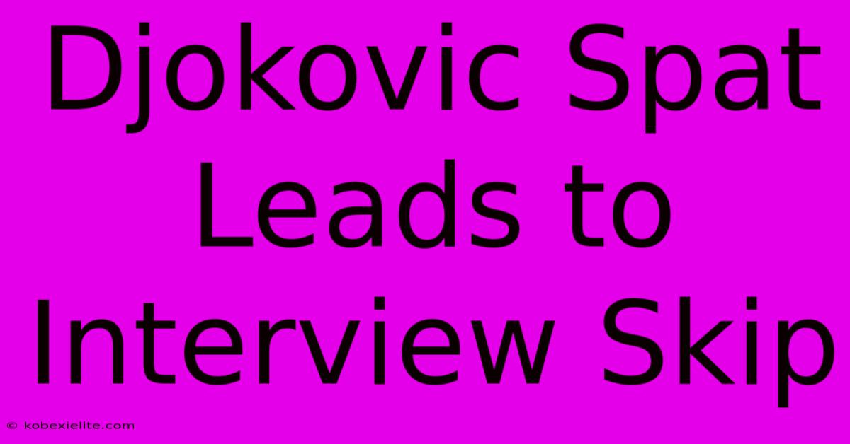 Djokovic Spat Leads To Interview Skip