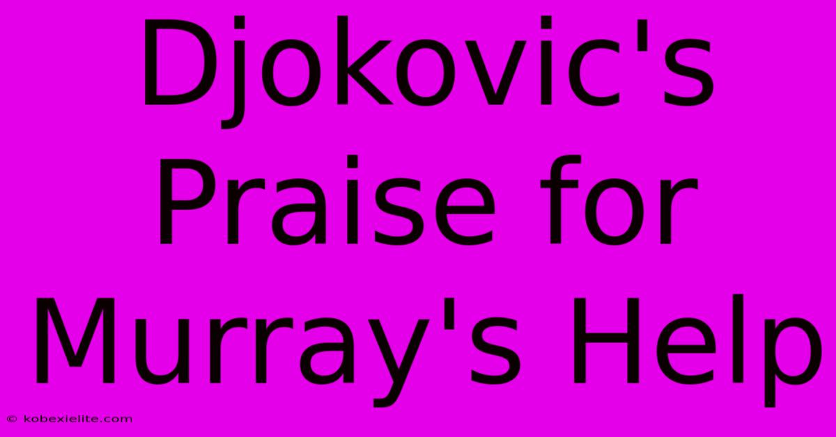 Djokovic's Praise For Murray's Help