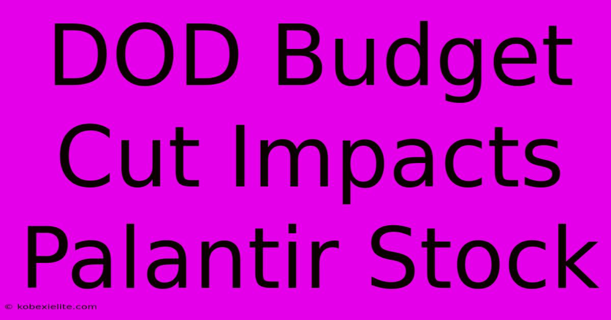 DOD Budget Cut Impacts Palantir Stock