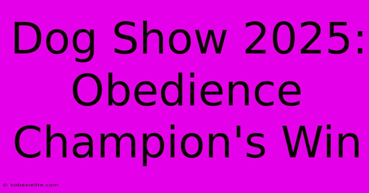 Dog Show 2025: Obedience Champion's Win