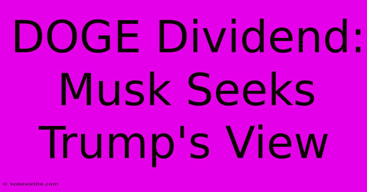 DOGE Dividend: Musk Seeks Trump's View