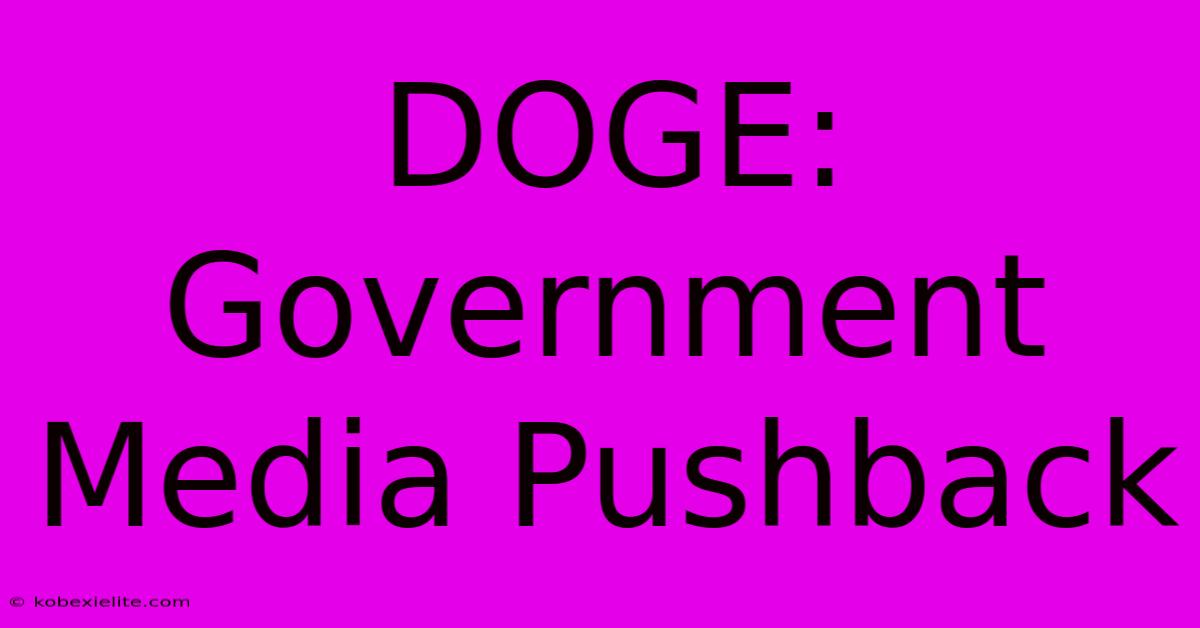 DOGE: Government Media Pushback