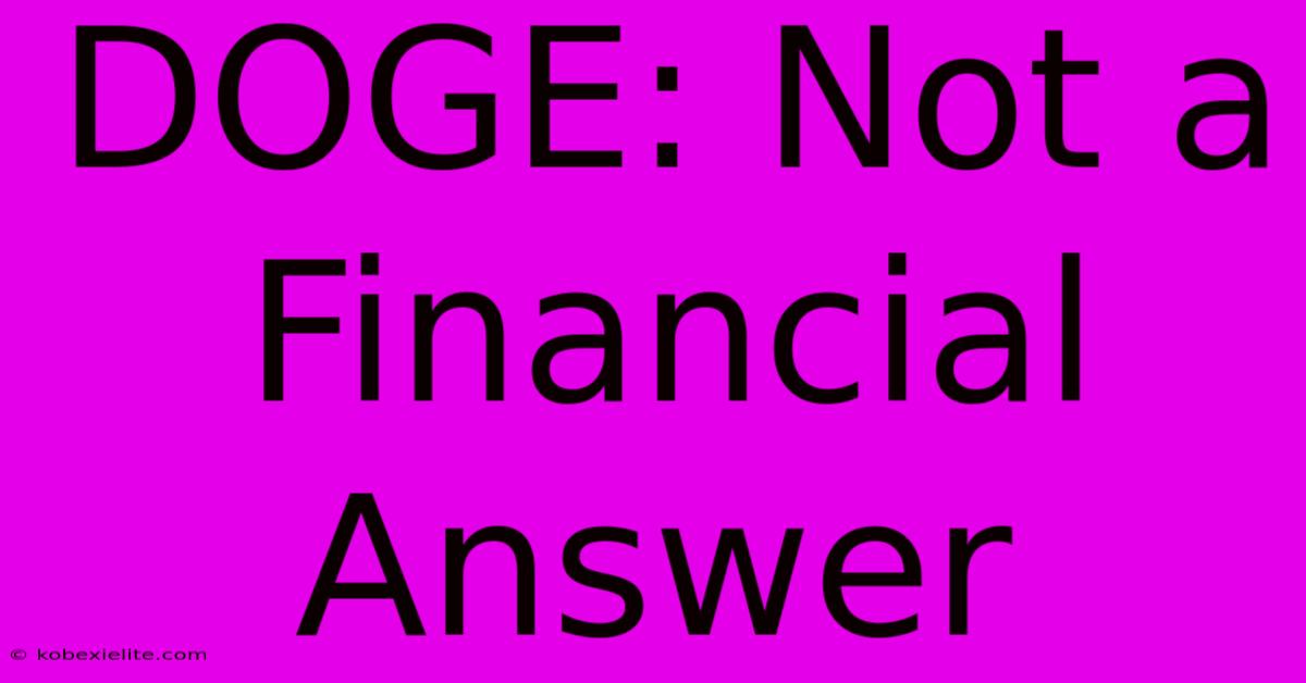 DOGE: Not A Financial Answer