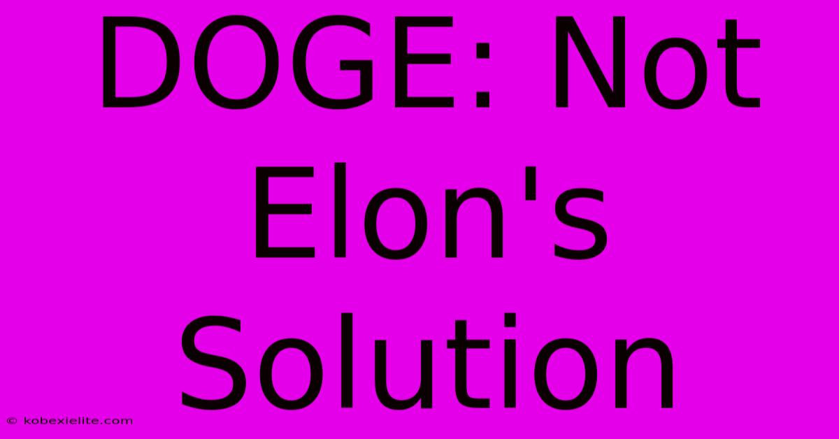 DOGE: Not Elon's Solution